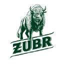 Żubr