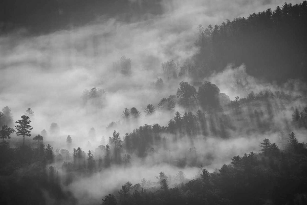 Focus Group Planning